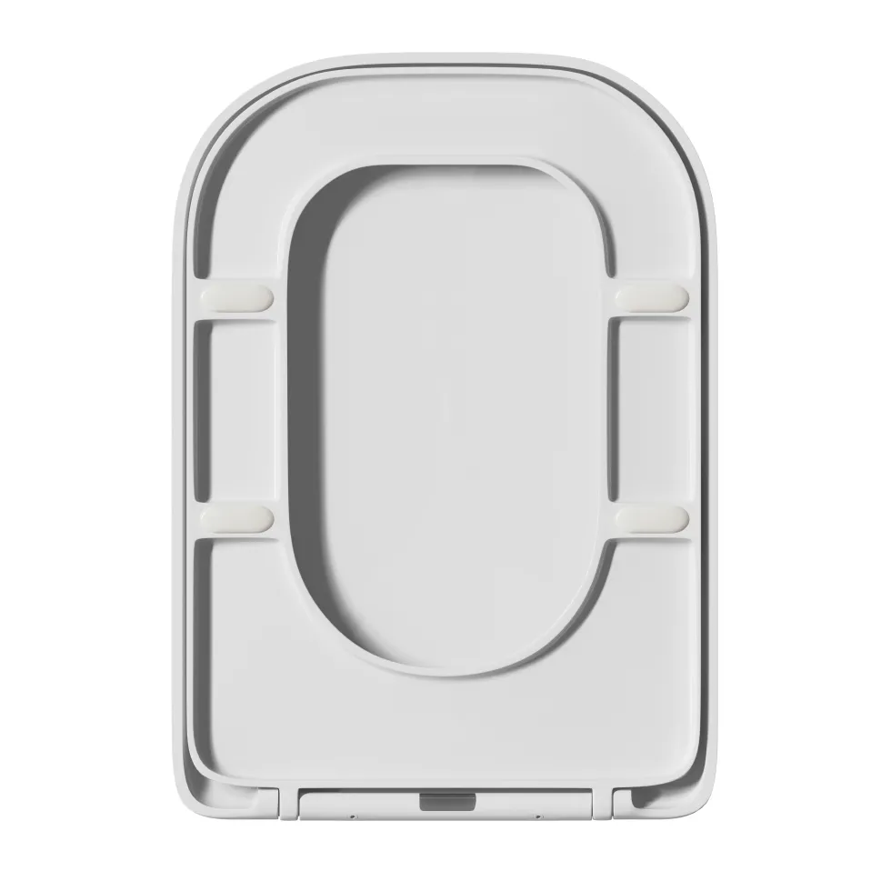 Anderson Rimless Back to Wall Toilet & Soft Close Seat