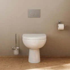 Anderson Rimless Back to Wall Toilet & Soft Close Seat
