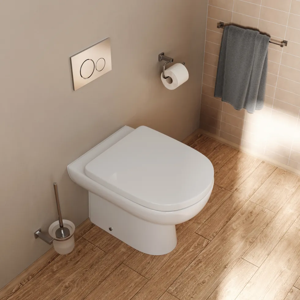 Anderson Rimless Back to Wall Toilet & Soft Close Seat