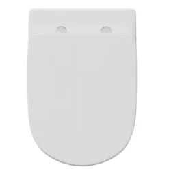 Anderson Rimless Back to Wall Toilet & Soft Close Seat