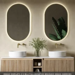 Billy LED Illuminated Oval Framed Mirror with Demister Pad & Colour Change Lights - 500 x 800mm