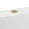 Britton Bathrooms Cistern Flush Button - Brushed Brass
