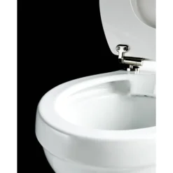 Burlington Rimless Close Coupled Toilet & Seat - Oak