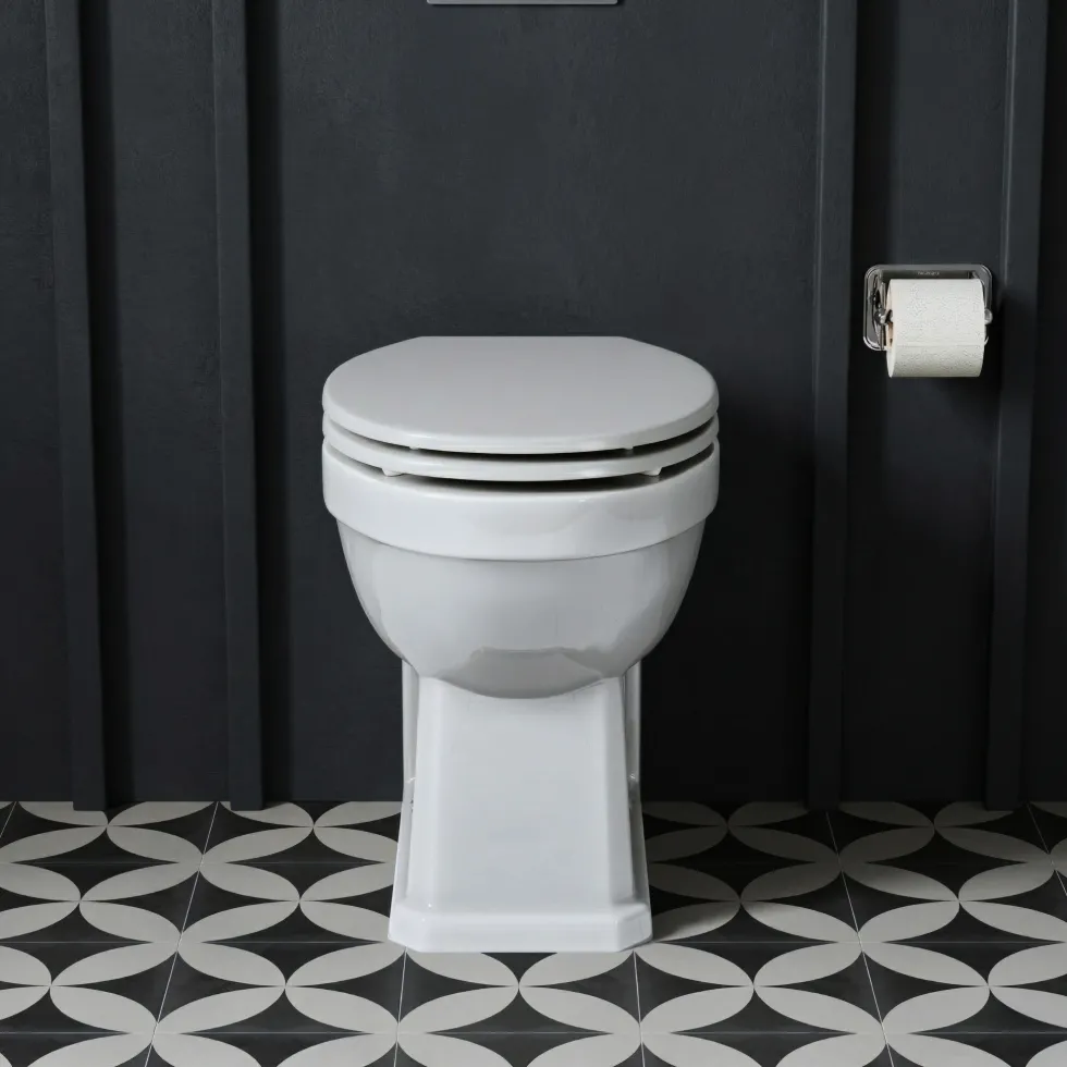 Butler & Rose Catherine Comfort Height Back To Wall Toilet (Excluding Seat)