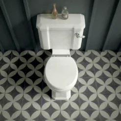 Butler & Rose Catherine Comfort Height Close Coupled Toilet & Cistern (Excluding Seat)