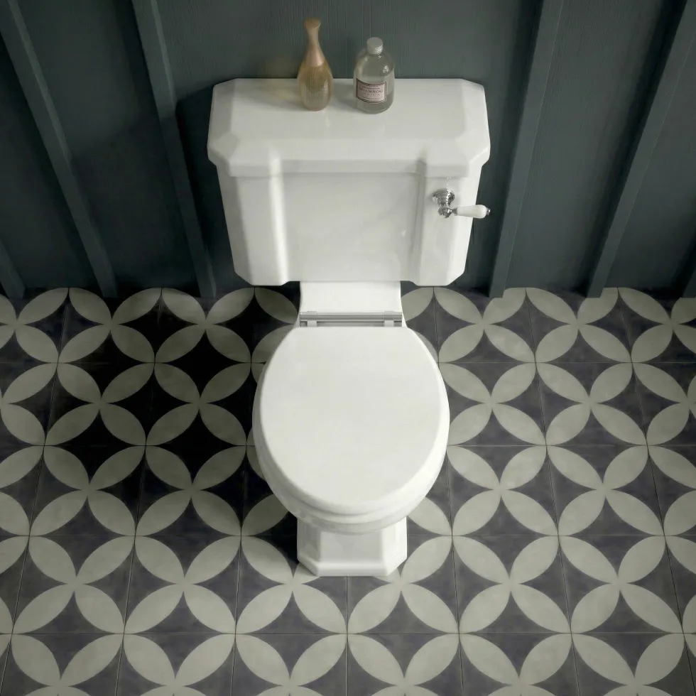 Butler & Rose Catherine Comfort Height Close Coupled Toilet & Cistern (Excluding Seat)