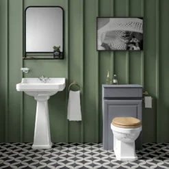 Butler & Rose Catherine Traditional Back to Wall Toilet (Excluding Seat)