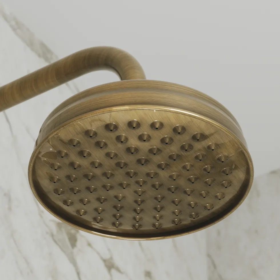 Butler & Rose Eliza Traditional 2 Outlet Exposed Shower Kit