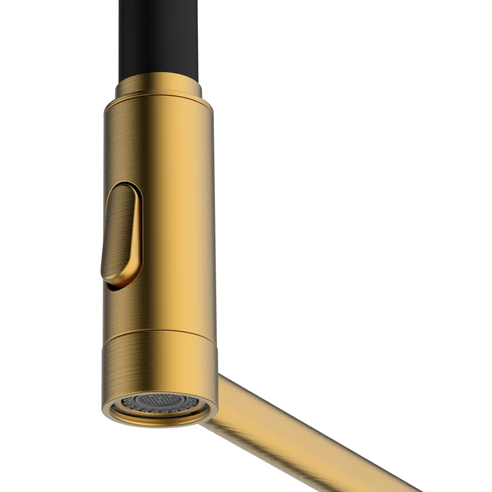 Clearwater Alasia Semi-Professional Kitchen Pull Out Spray Tap
