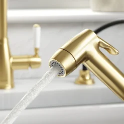 Clearwater Traditional Pull Out Rinse