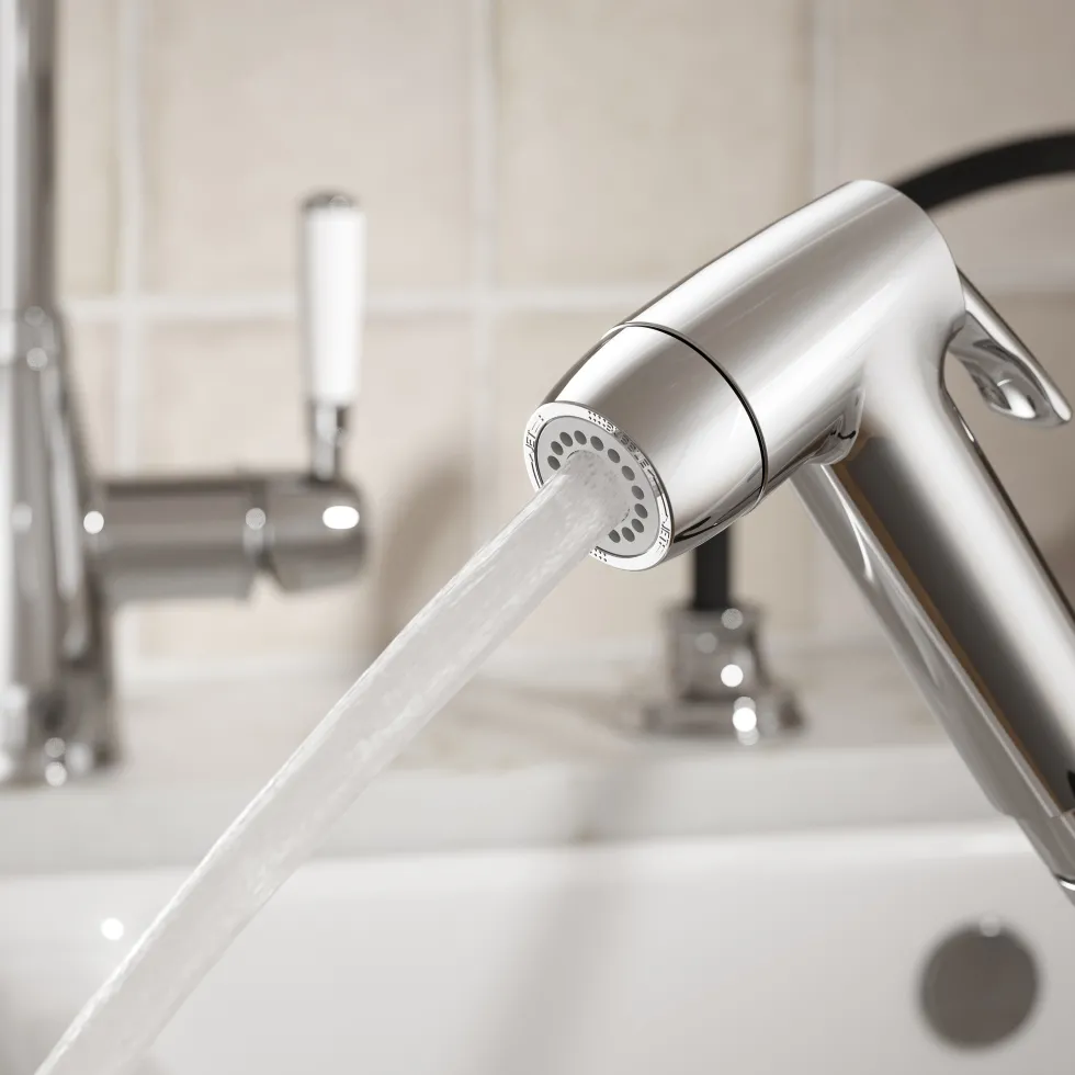 Clearwater Traditional Pull Out Rinse