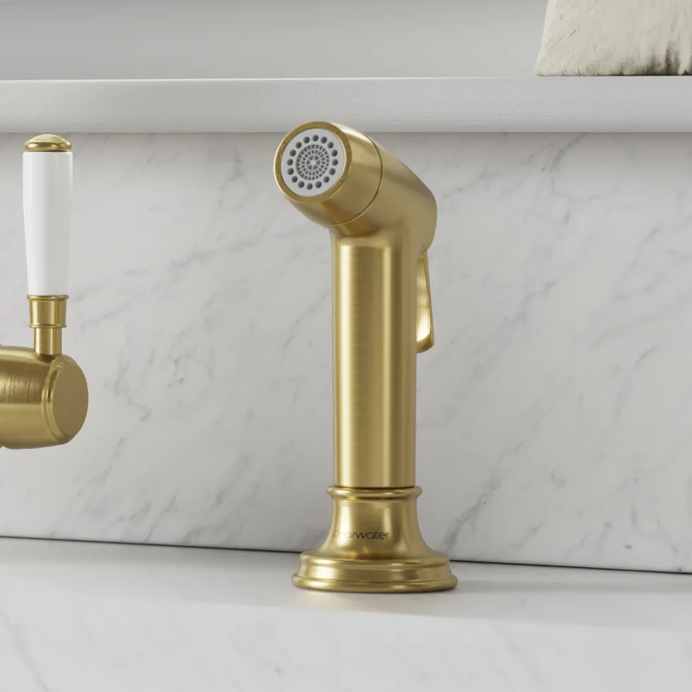 Clearwater Traditional Pull Out Rinse