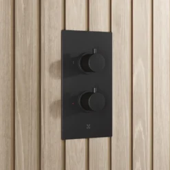 Core 2 Outlet Thermostatic Concealed Shower Valve