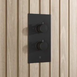 Core 2 Outlet Thermostatic Concealed Shower Valve