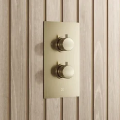 Core 2 Outlet Thermostatic Concealed Shower Valve