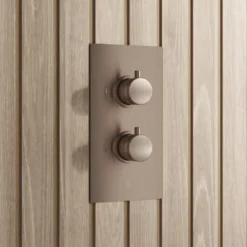 Core 1 Outlet Thermostatic Concealed Shower Valve