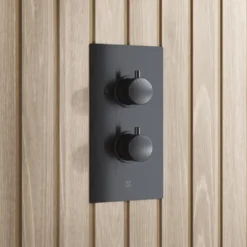Core 1 Outlet Thermostatic Concealed Shower Valve
