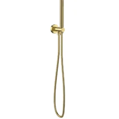 Core Shower Handset, Hose & Wall Outlet