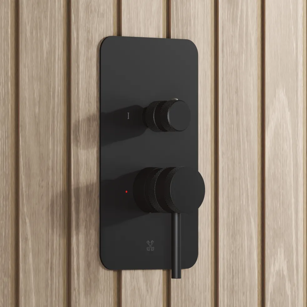 Core Shower Package with 2 Outlet Manual Valve, Fixed Wall Mounted Shower Head & Microphone Handset Slide Rail Kit