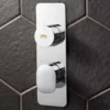 Crosswater Dial Pier 1 Outlet Concealed Thermostatic Shower Valve - Portrait