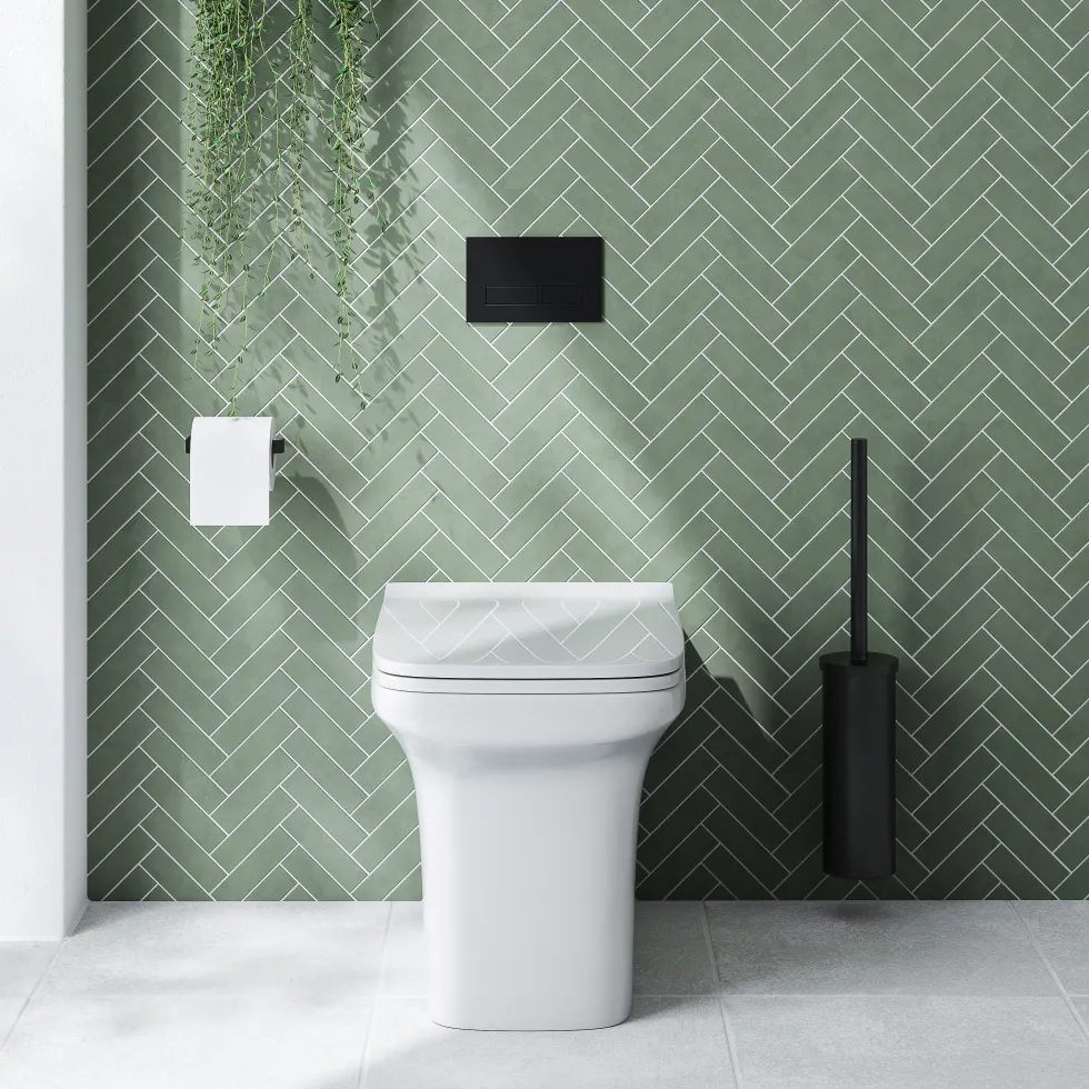 Emily Rimless Back To Wall Toilet & Soft Close Seat