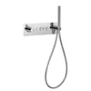 Flova Spring GoClick 4 Outlet Concealed Thermostatic Shower Valve with Integral Handset Kit