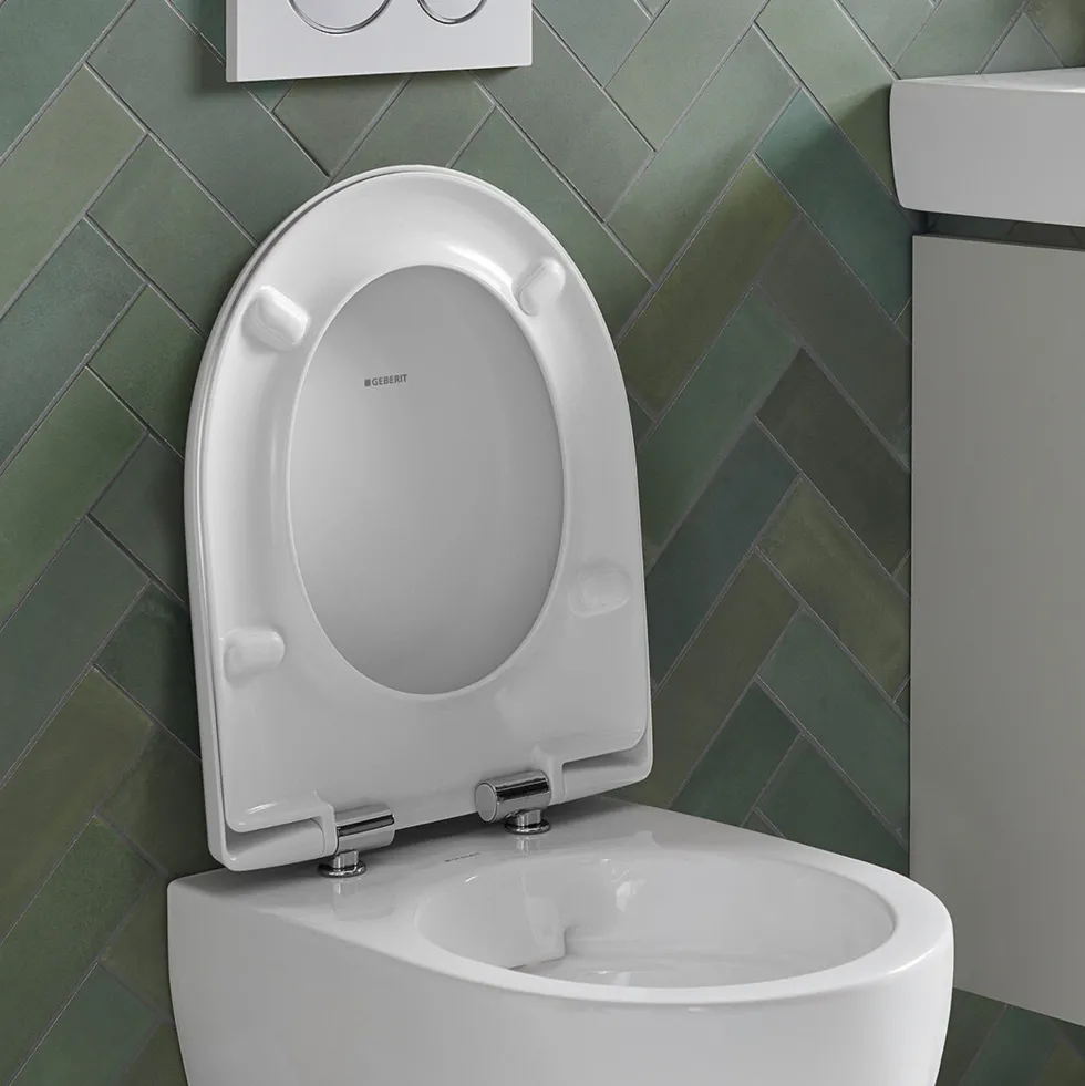 Geberit Selnova Rimless Compact Wall Hung Toilet & Soft Close Seat
