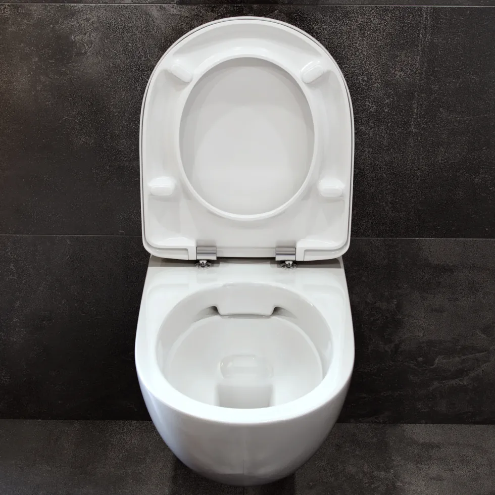 Geberit Selnova Rimless Wall Hung Pan & Soft Close Seat