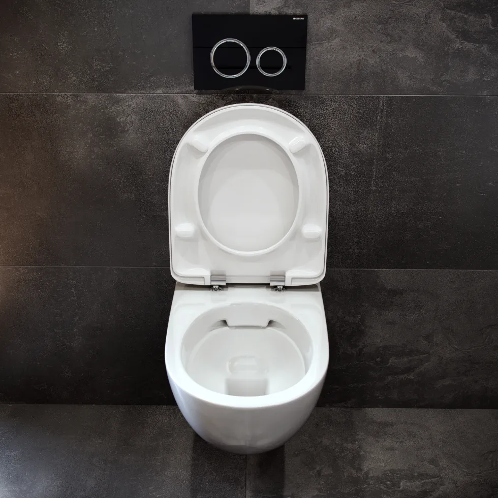 Geberit Selnova Rimless Wall Hung Pan & Soft Close Seat