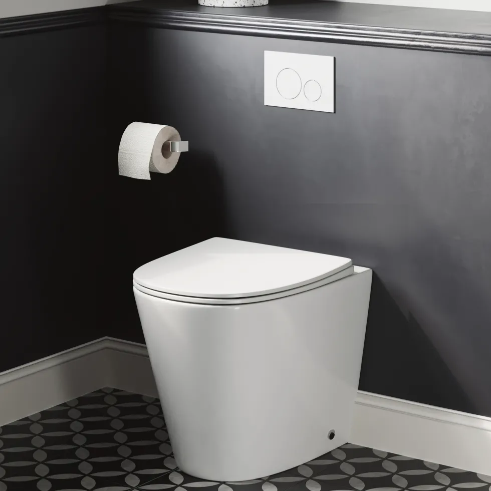 Harbour Clarity Back to Wall Rimless Toilet & Soft Close Seat