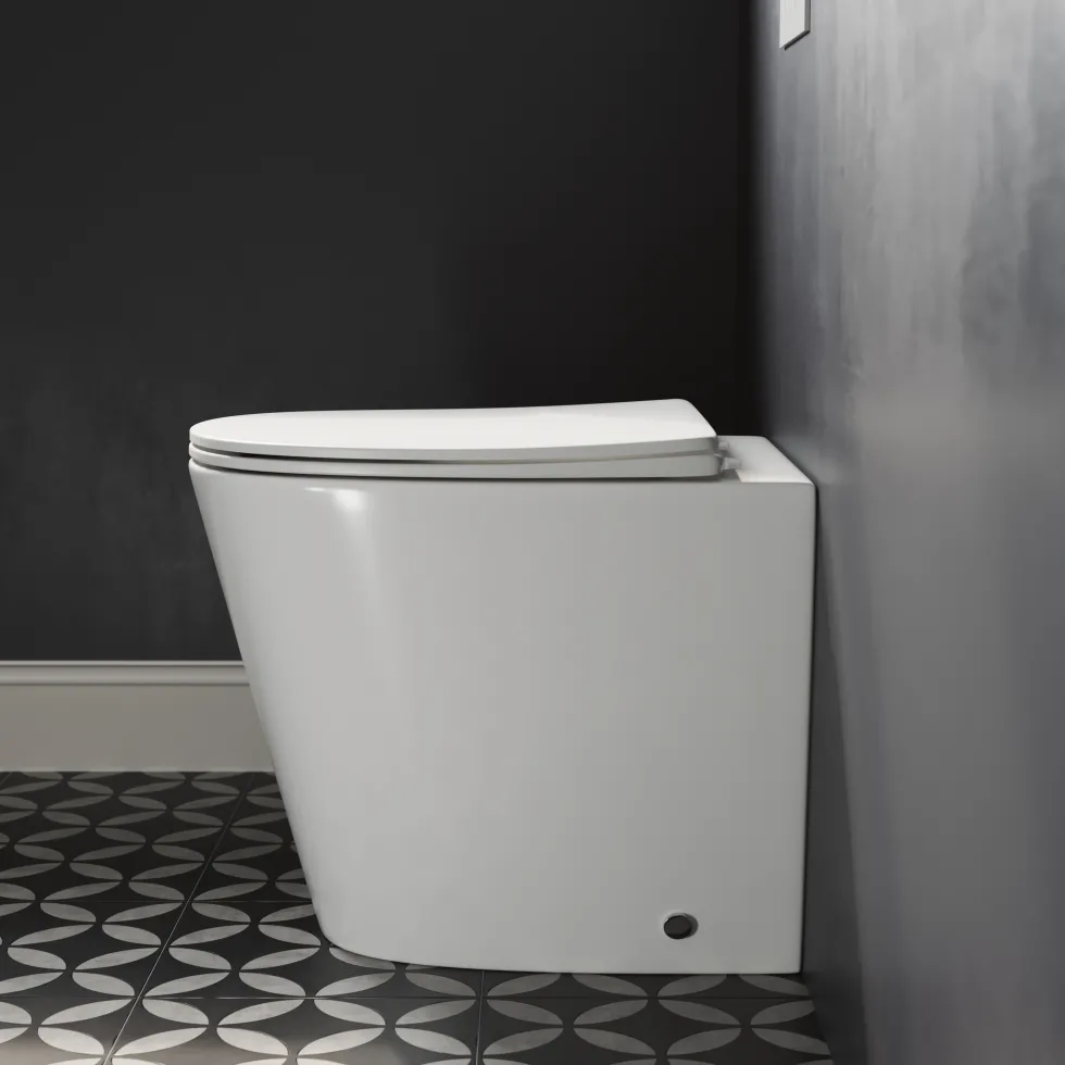 Harbour Clarity Back to Wall Rimless Toilet & Soft Close Seat