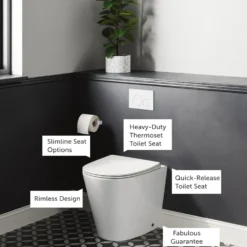Harbour Clarity Back to Wall Rimless Toilet & Soft Close Seat