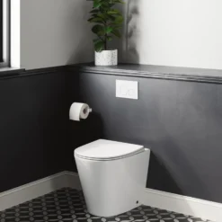 Harbour Clarity Back to Wall Rimless Toilet & Soft Close Seat