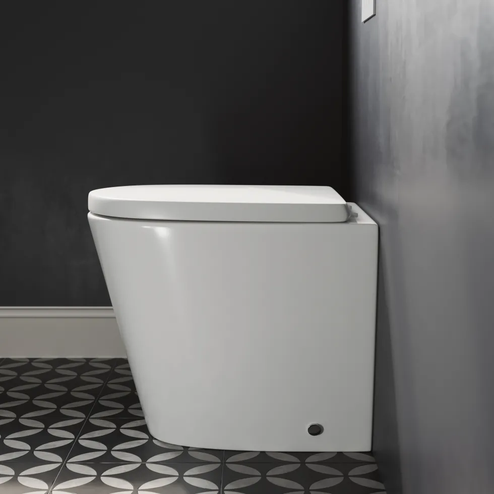 Harbour Clarity Back to Wall Rimless Toilet & Soft Close Seat