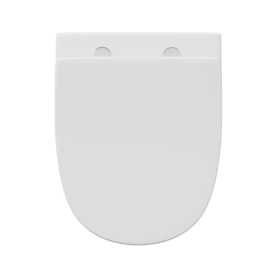 Harbour Clarity Back to Wall Rimless Toilet & Soft Close Seat