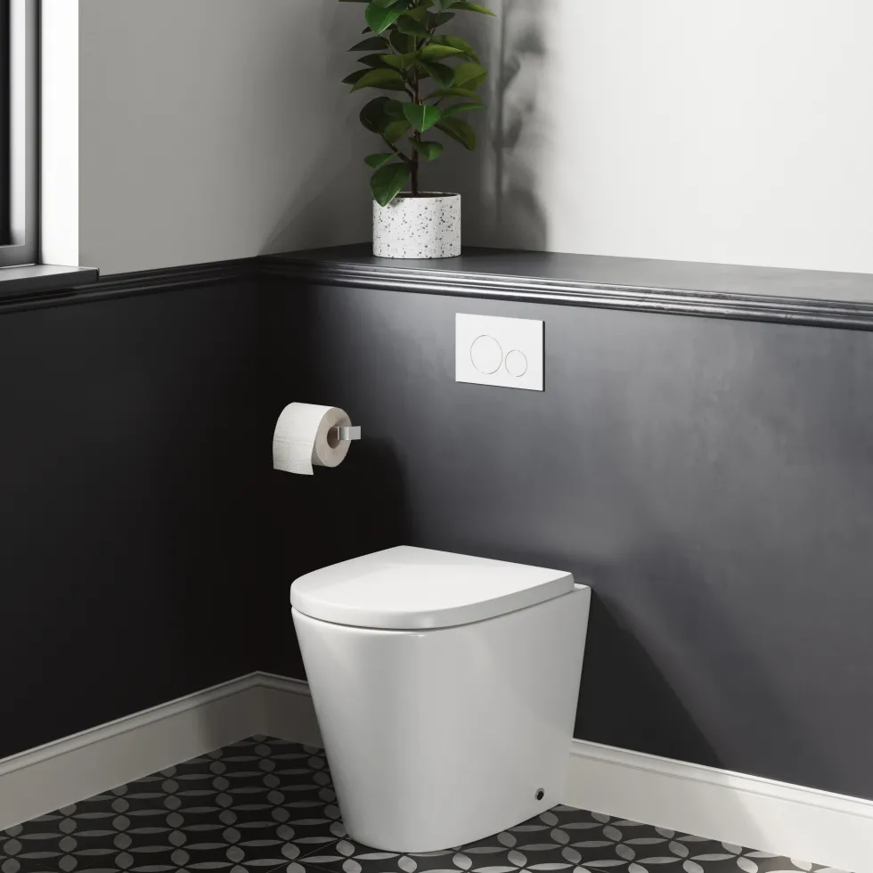 Harbour Clarity Back to Wall Rimless Toilet & Soft Close Seat