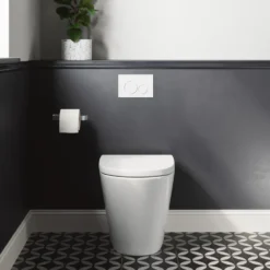 Harbour Clarity Back to Wall Rimless Toilet & Soft Close Seat