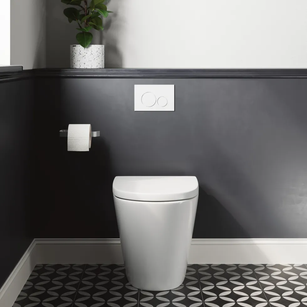 Harbour Clarity Back to Wall Rimless Toilet & Soft Close Seat