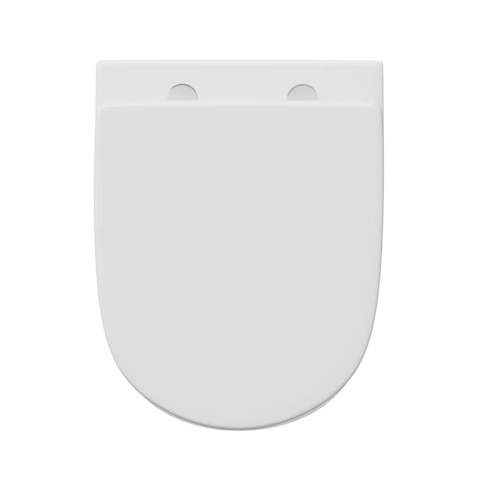 Harbour Clarity Back to Wall Rimless Toilet & Soft Close Seat