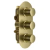 Harbour Clarity Brushed Brass 2 Outlet Thermostatic Concealed Shower Valve (Three Handle)