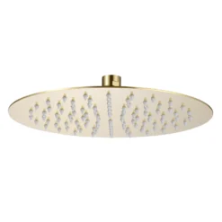 Harbour Clarity Brushed Brass Ultra Slim Round Shower Head - 250mm