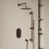 Harbour Clarity Brushed Bronze Shower Package with 2 Outlet Valve, Fixed Head & Wall Mounted Arm and Slide Rail Shower Kit