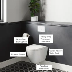 Harbour Clarity Rimless Wall Hung Toilet & Soft Close Seat