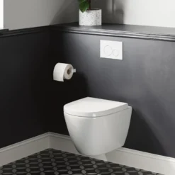 Harbour Clarity Rimless Wall Hung Toilet & Soft Close Seat
