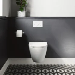Harbour Clarity Rimless Wall Hung Toilet & Soft Close Seat