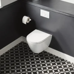Harbour Clarity Rimless Wall Hung Toilet & Soft Close Seat