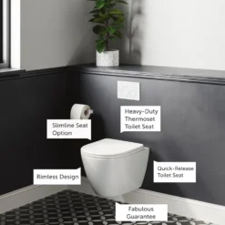 Harbour Clarity Rimless Wall Hung Toilet & Soft Close Seat