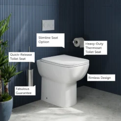 Harbour Icon Rimless Back to Wall Comfort Height Toilet & Soft Close Seat