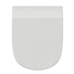 Harbour Identity Rimless Back to Wall Toilet & Soft Close Seat