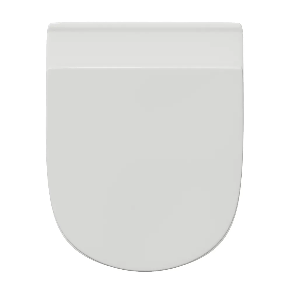 Harbour Identity Rimless Back to Wall Toilet & Soft Close Seat